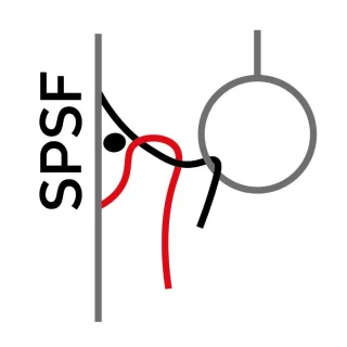 Swiss Pole & Aerial Championships 2027