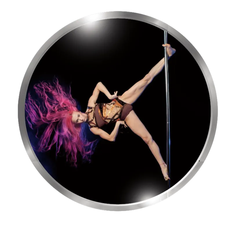 Shine Fitness - Las Vegas Pole Training Camp